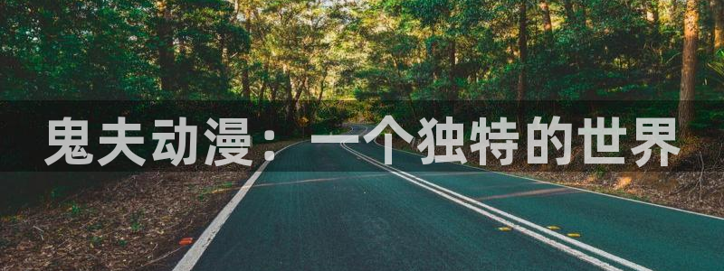 动漫之家 更新