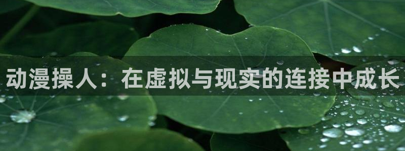 动漫之家链接