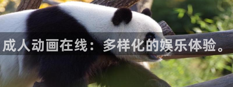 动漫之家dmzj