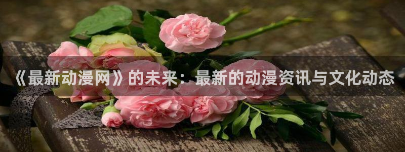动漫之家app旧版