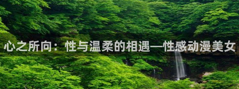 动漫之家社区版