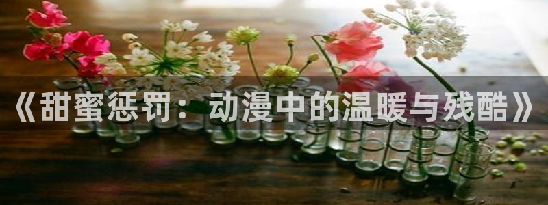动漫之家 网页版