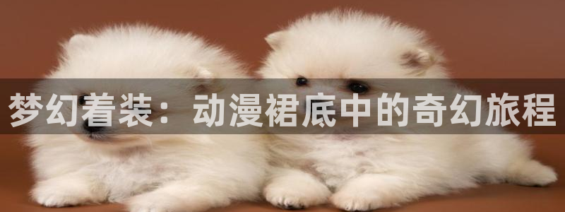 动漫之家下载地址